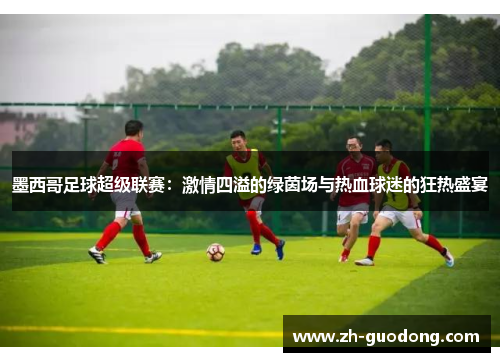 墨西哥足球超级联赛：激情四溢的绿茵场与热血球迷的狂热盛宴