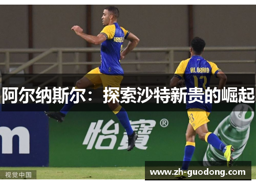 阿尔纳斯尔：探索沙特新贵的崛起